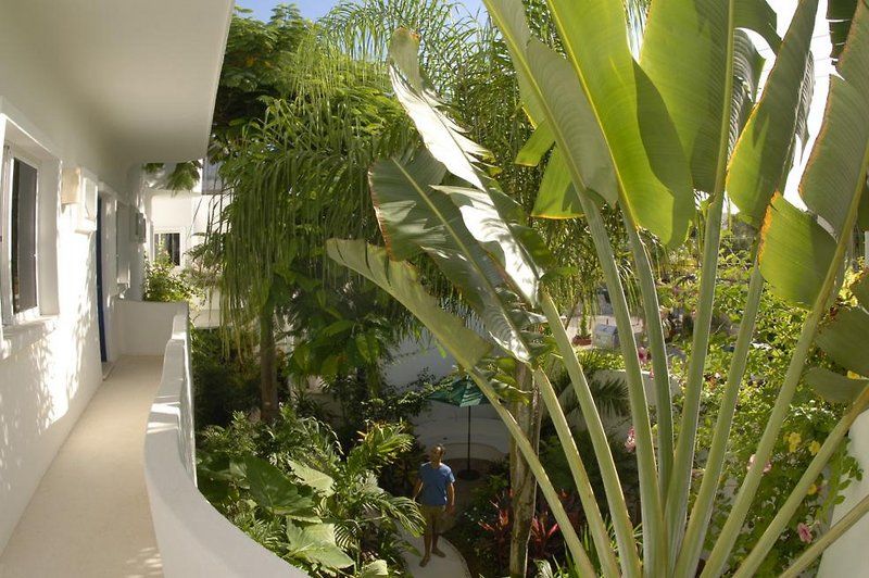 Aqualuna Boutique Hotel By Sunrise (Adults Only) プレヤデルカーメン エクステリア 写真